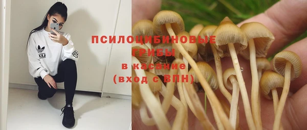 спайс Арсеньев
