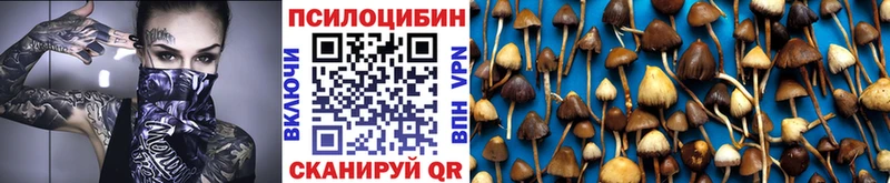 Галлюциногенные грибы Cubensis  Купить  Солигалич 